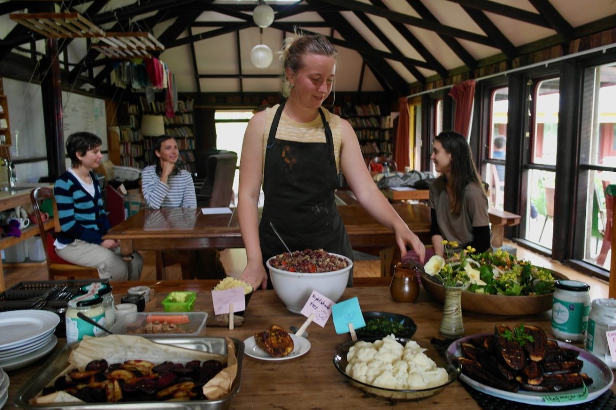 Gratitude For Bodhi Seeds 2020 by Juliana - The Wangapeka Study and