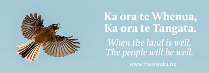 Tiwaiwaka and an exploration of Kaitiakitanga - The Wangapeka Study and ...